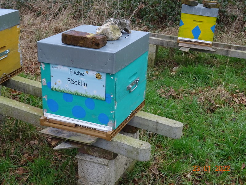 La ruche Böcklin