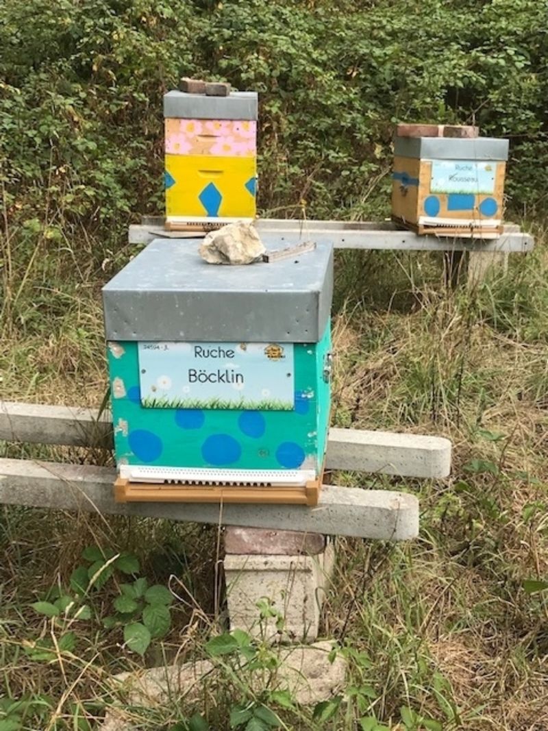La ruche Böcklin