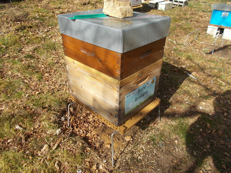 La ruche Bonnard