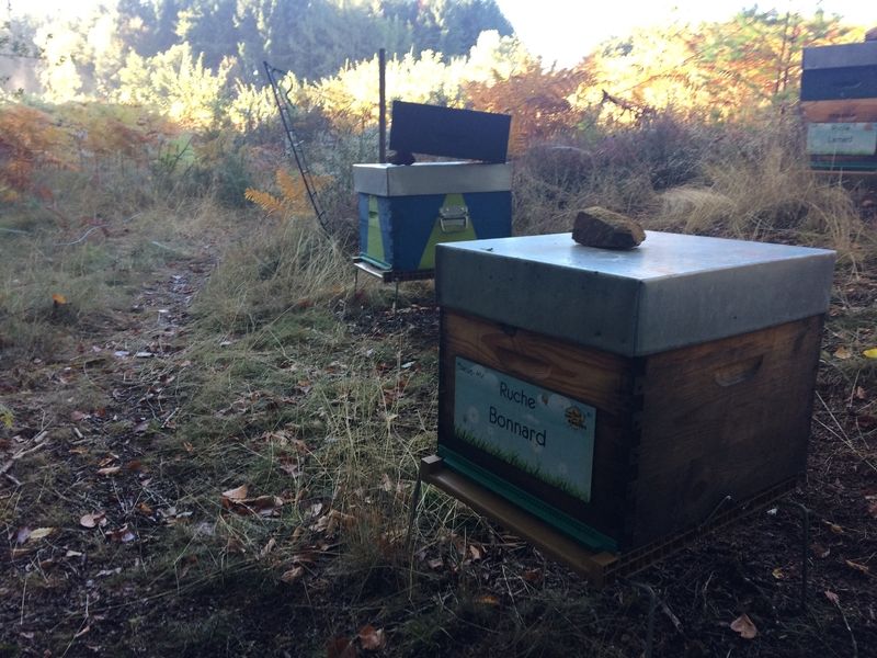 La ruche Bonnard