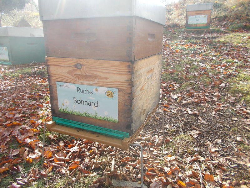 La ruche Bonnard