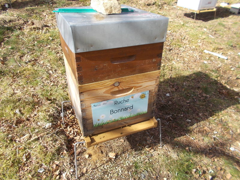 La ruche Bonnard