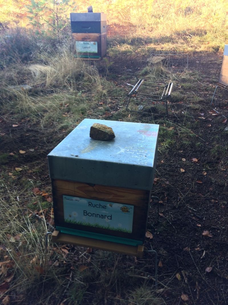 La ruche Bonnard