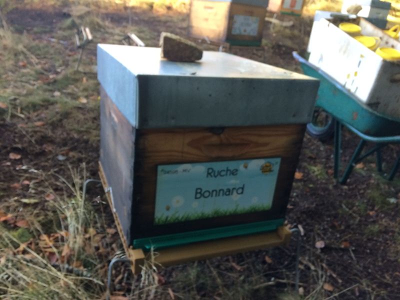 La ruche Bonnard