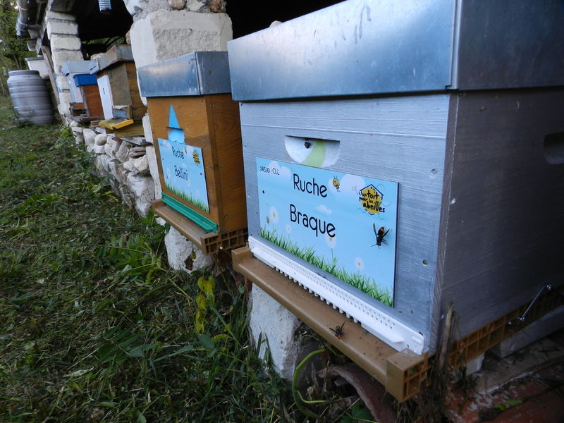 La ruche Braque