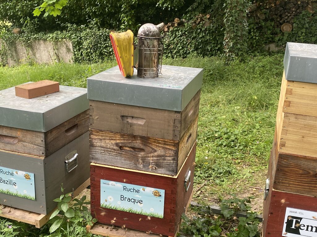 La ruche Braque