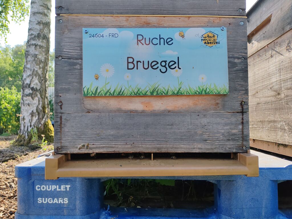 La ruche Bruegel