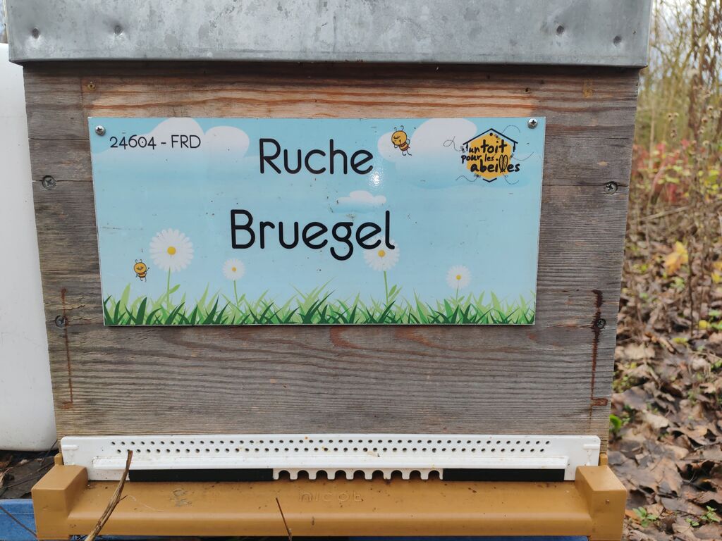 La ruche Bruegel