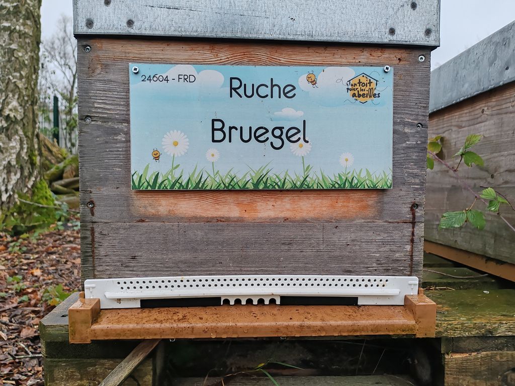 La ruche Bruegel