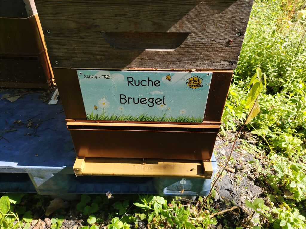 La ruche Bruegel