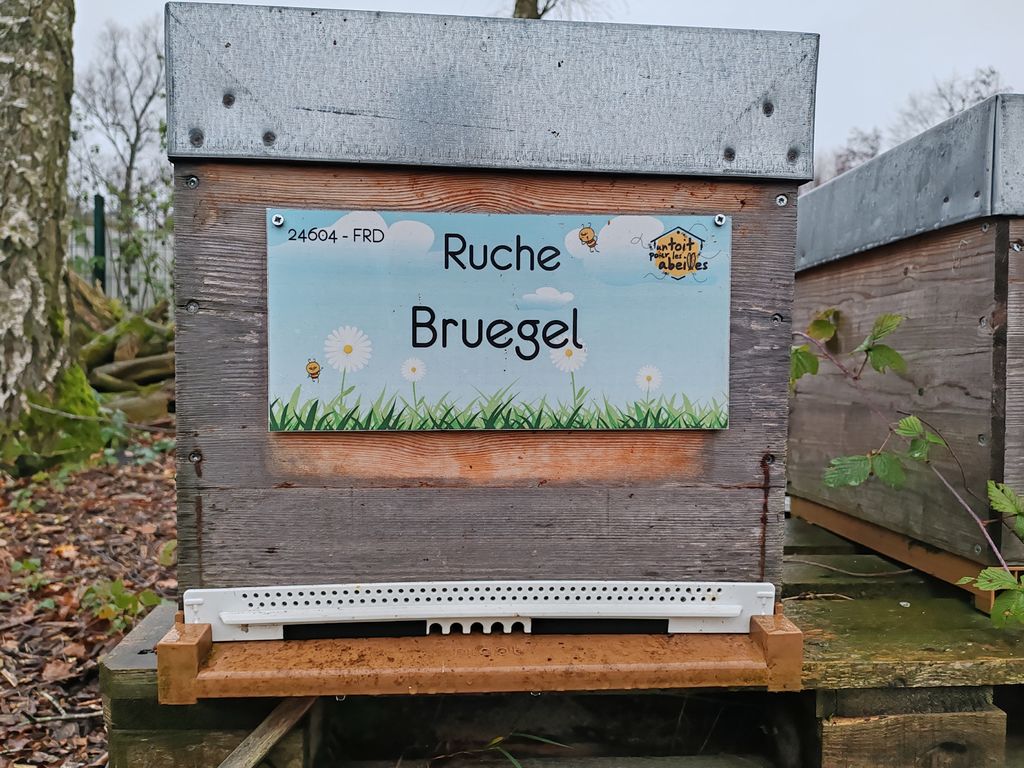 La ruche Bruegel