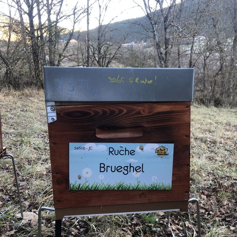 La ruche Brueghel