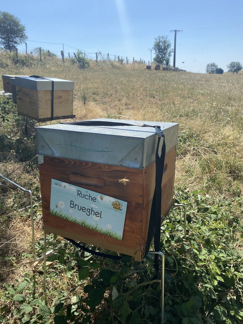 La ruche Brueghel