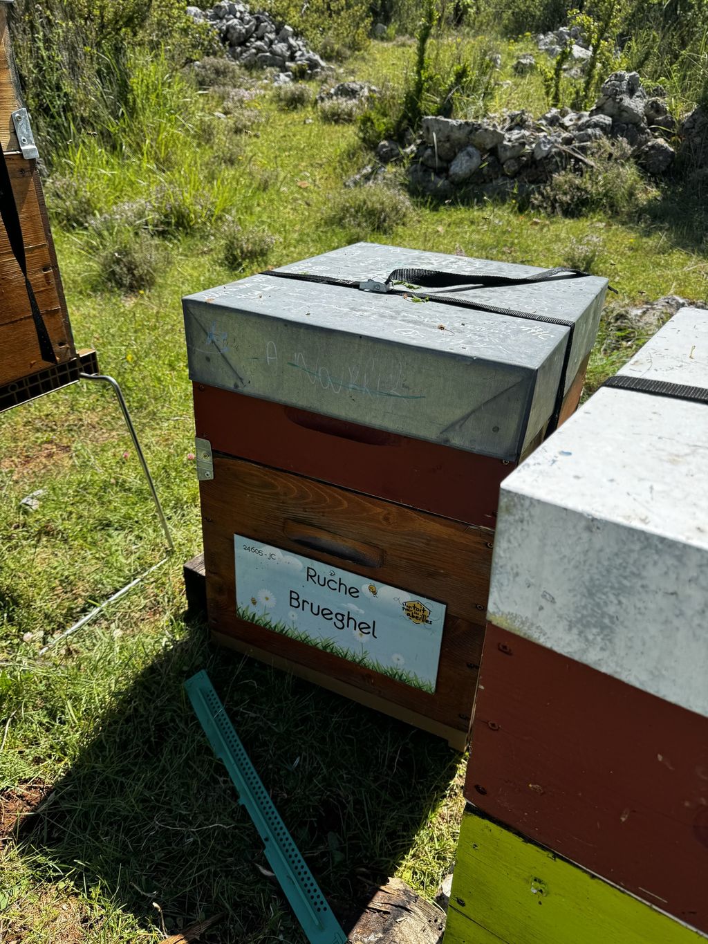 La ruche Brueghel