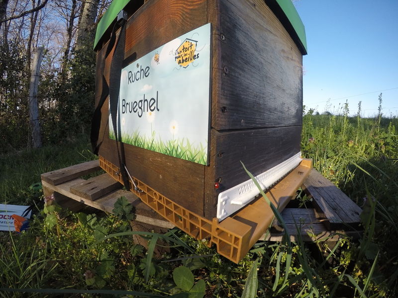 La ruche Brueghel