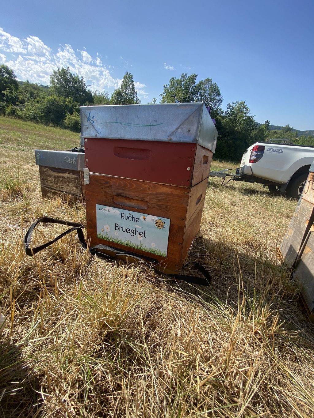 La ruche Brueghel