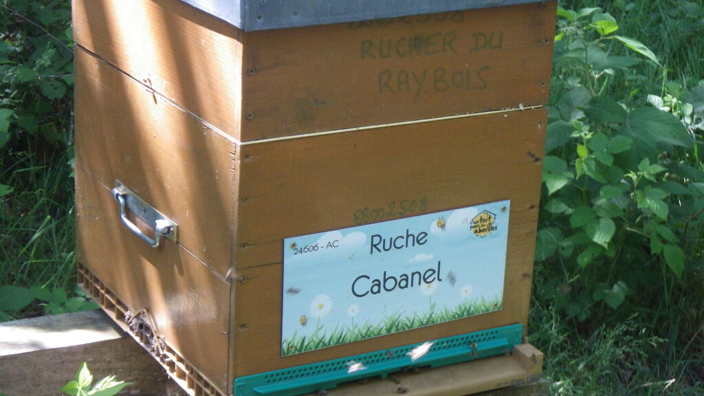 La ruche Cabanel
