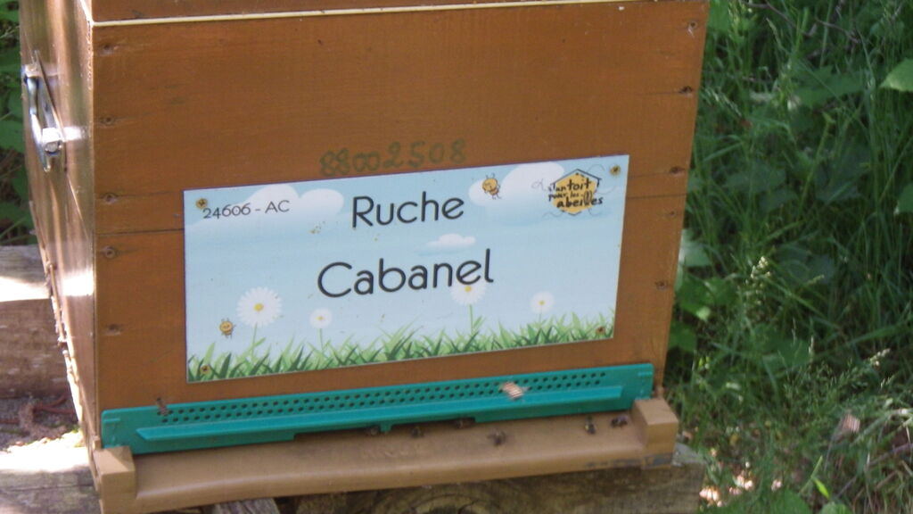 La ruche Cabanel