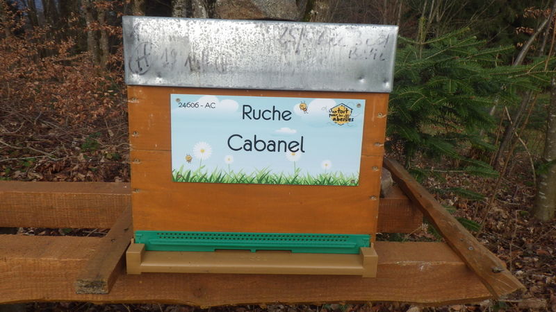 La ruche