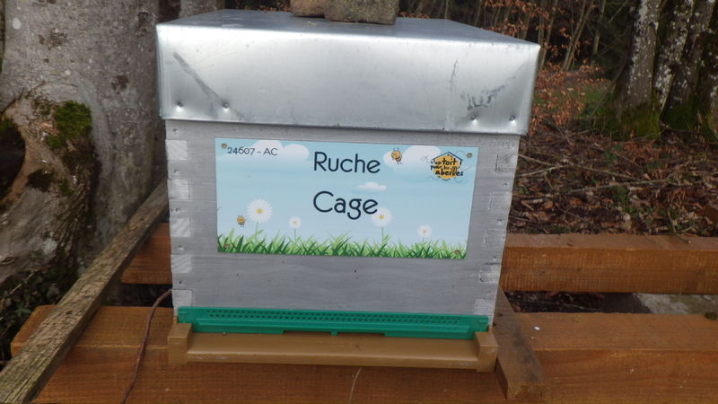 La ruche