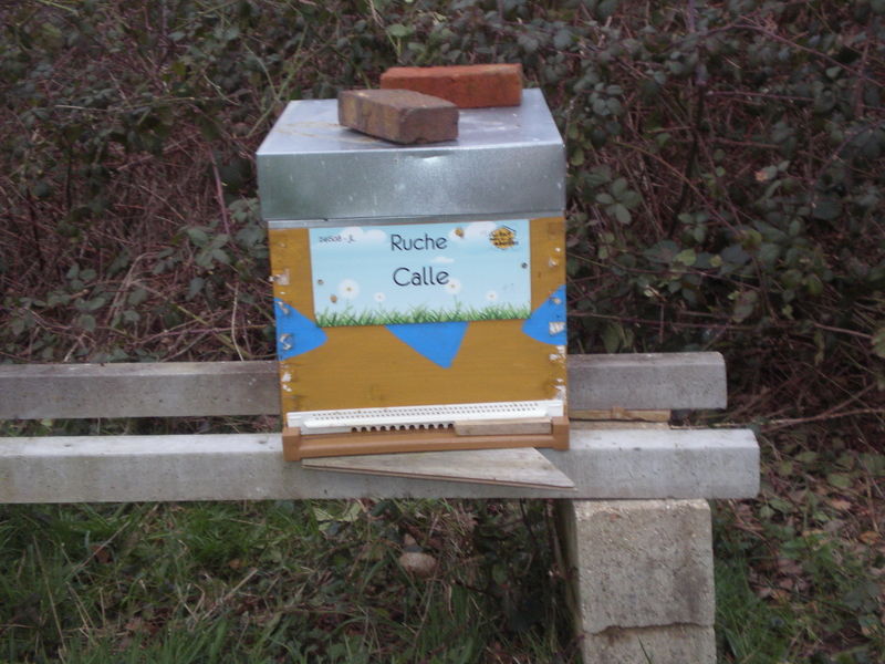 La ruche Calle