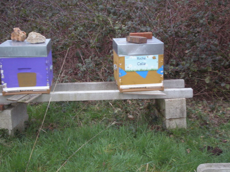 La ruche Calle