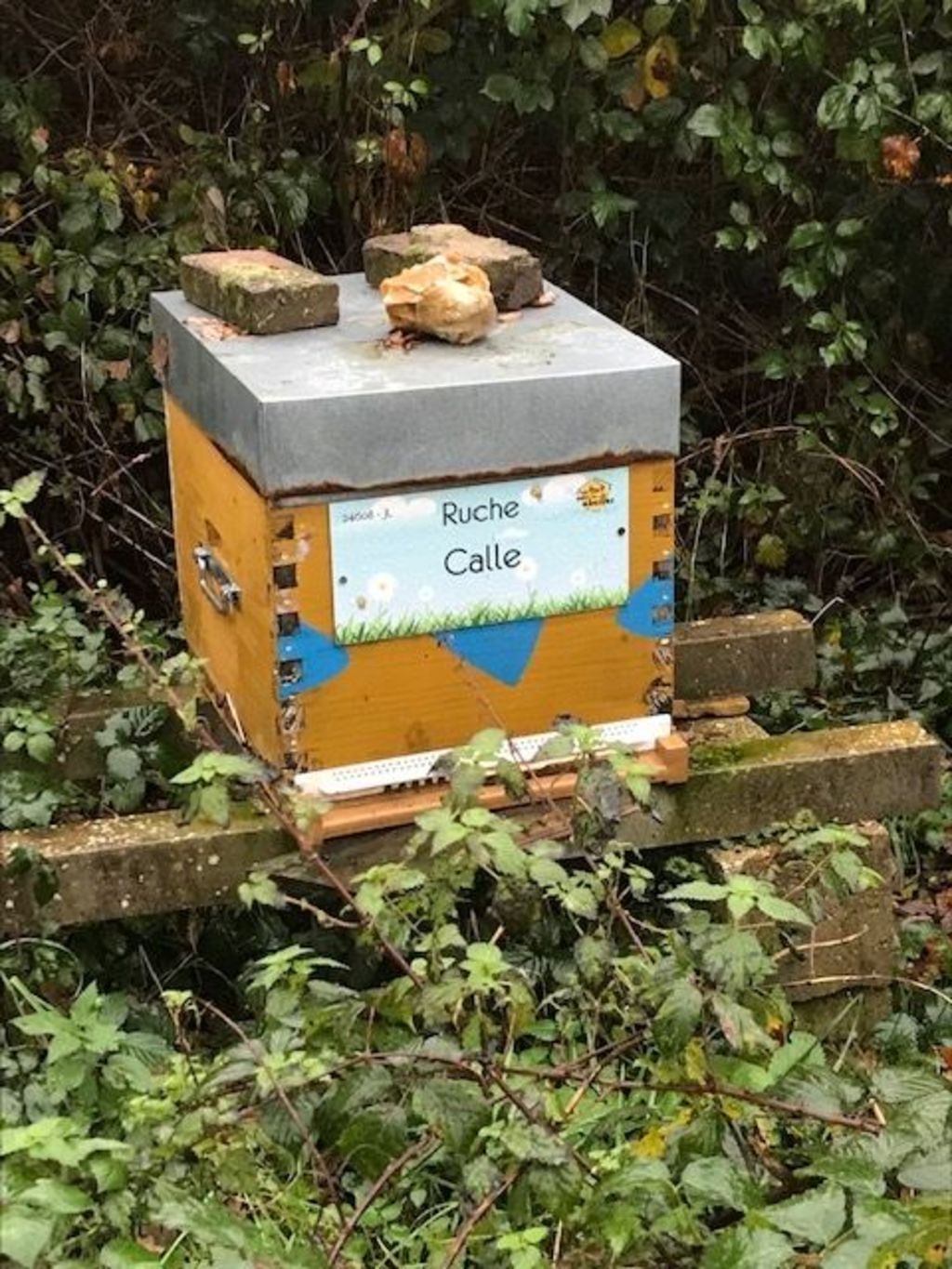 La ruche Calle