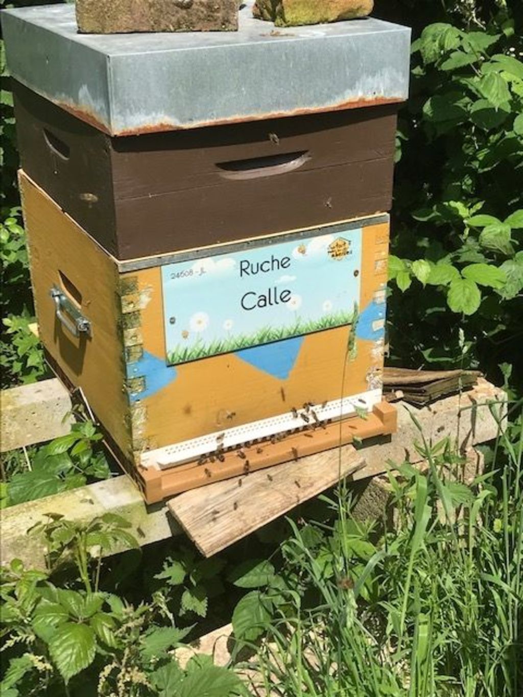 La ruche Calle