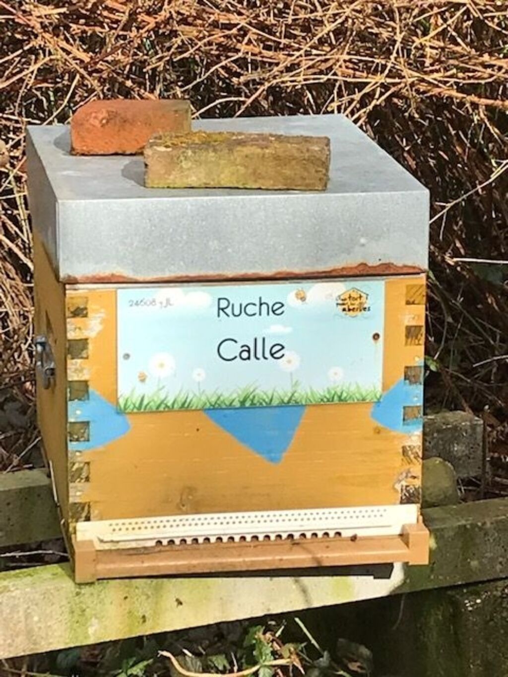 La ruche Calle