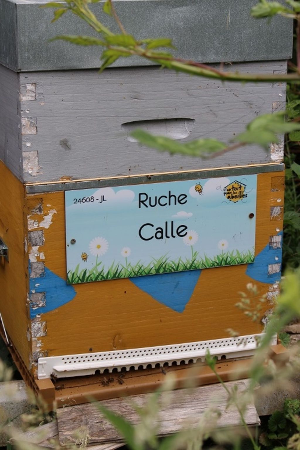 La ruche Calle