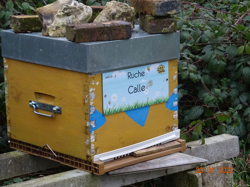 La ruche Calle