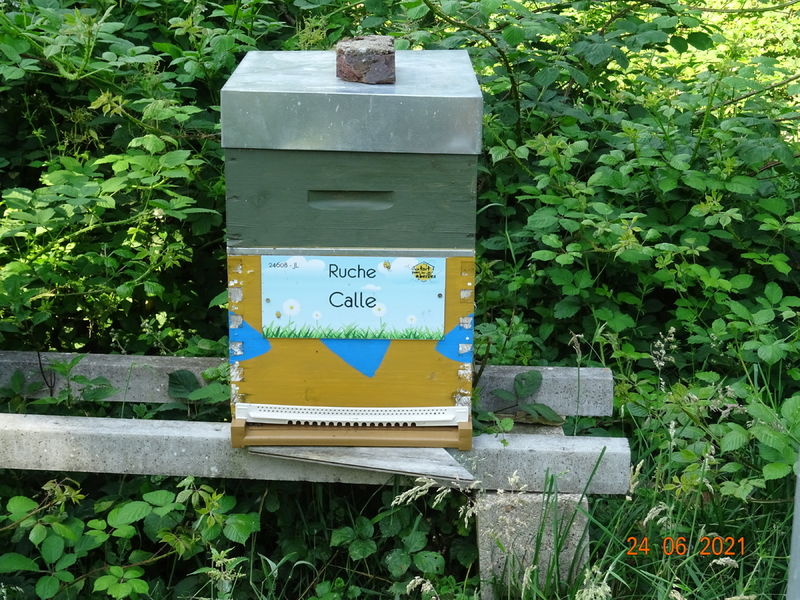 La ruche Calle