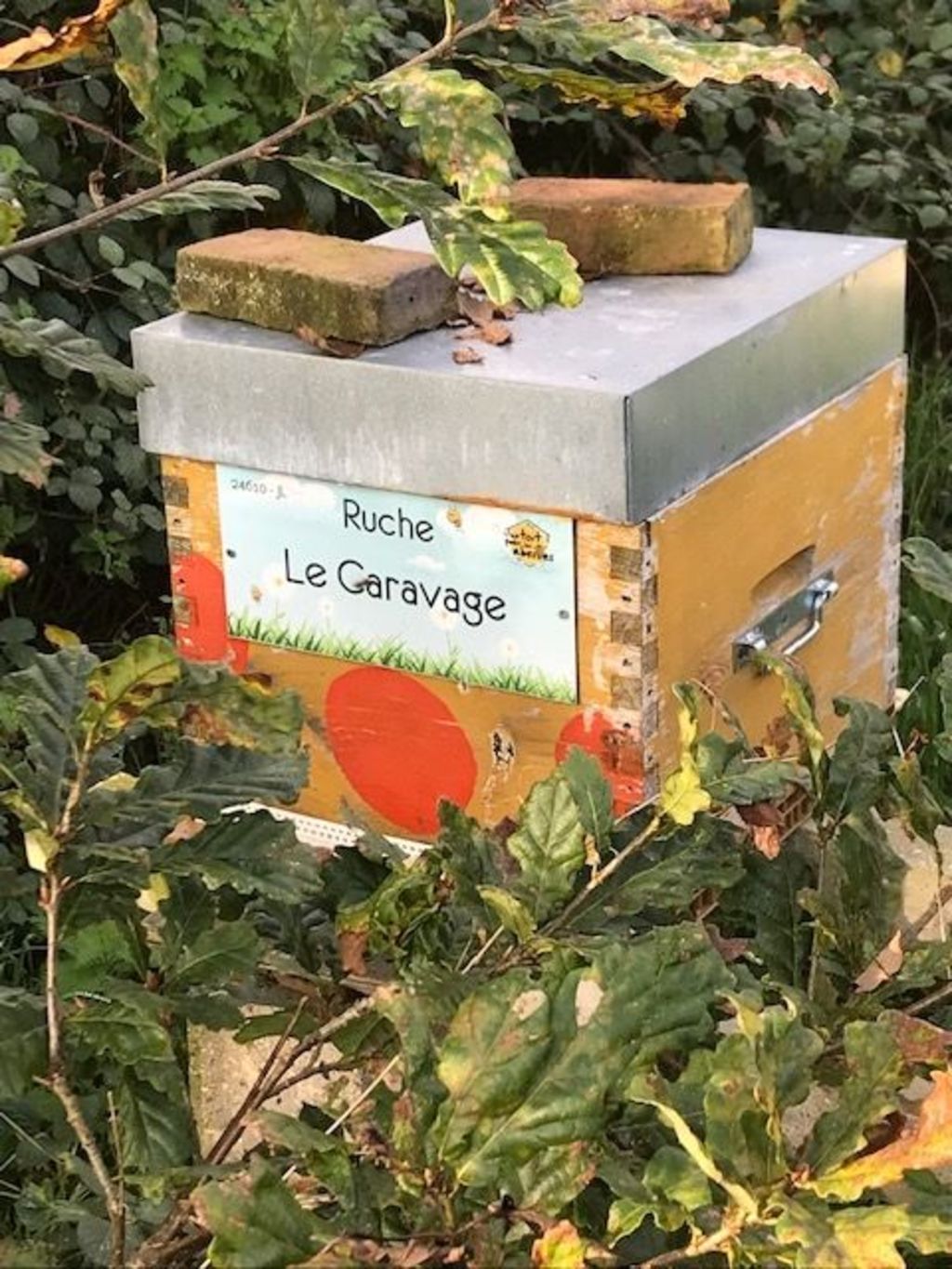 La ruche Le Caravage