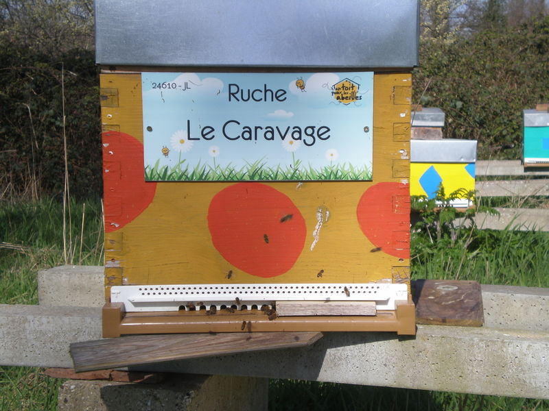 La ruche Le Caravage