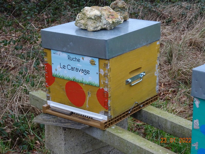 La ruche Le Caravage