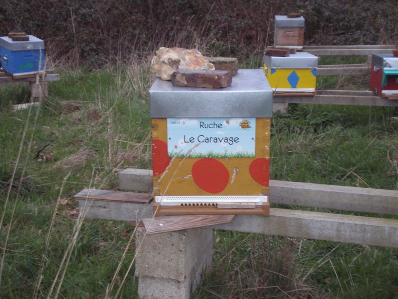 La ruche Le Caravage