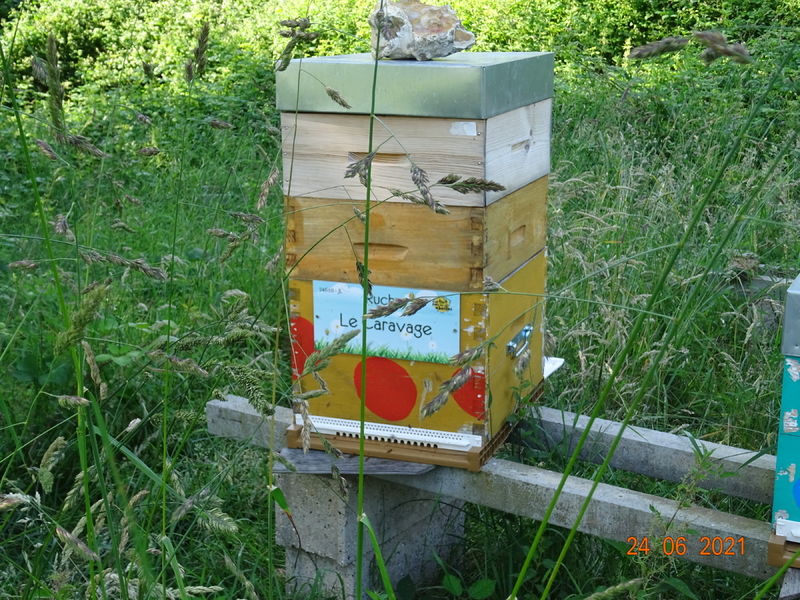 La ruche Le Caravage