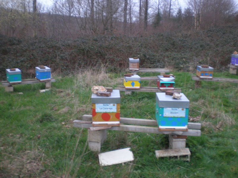 La ruche Le Caravage