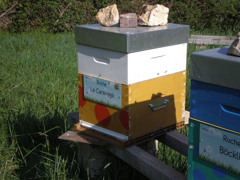 La ruche Le Caravage