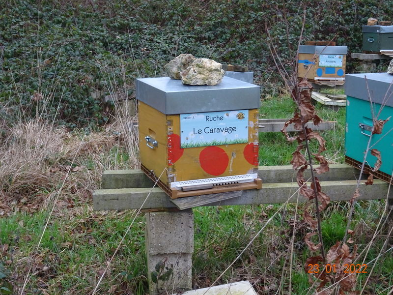 La ruche Le Caravage