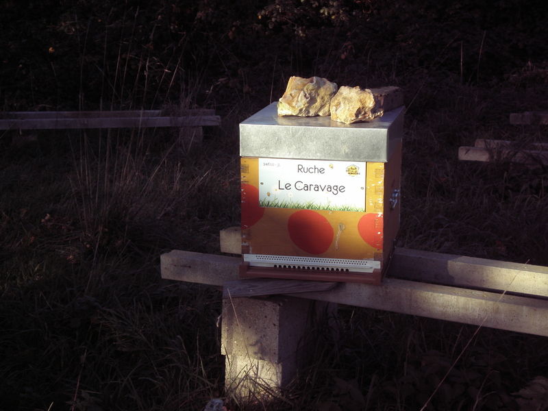 La ruche Le Caravage