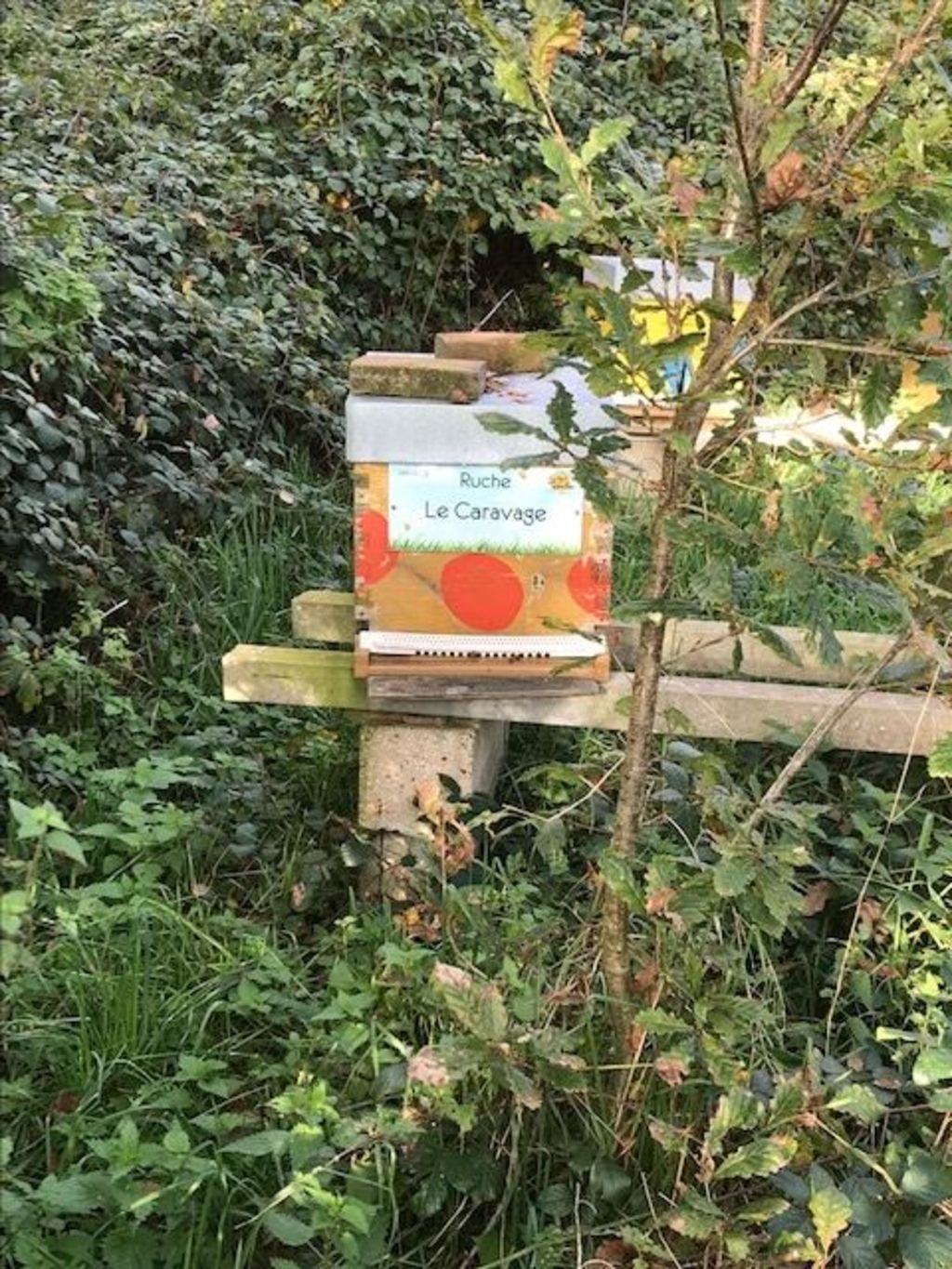 La ruche Le Caravage