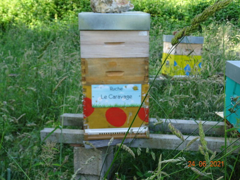 La ruche Le Caravage