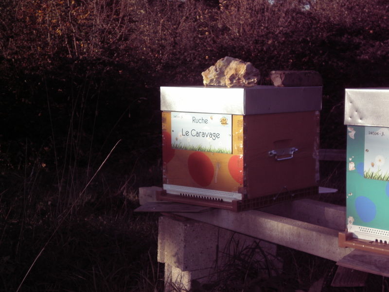 La ruche Le Caravage