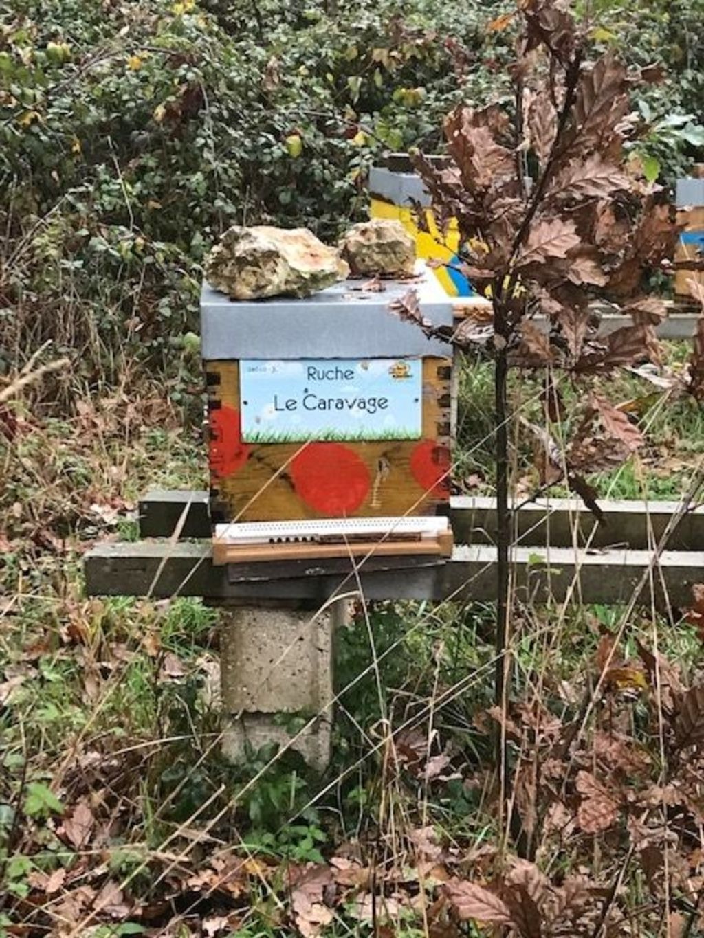 La ruche Le Caravage