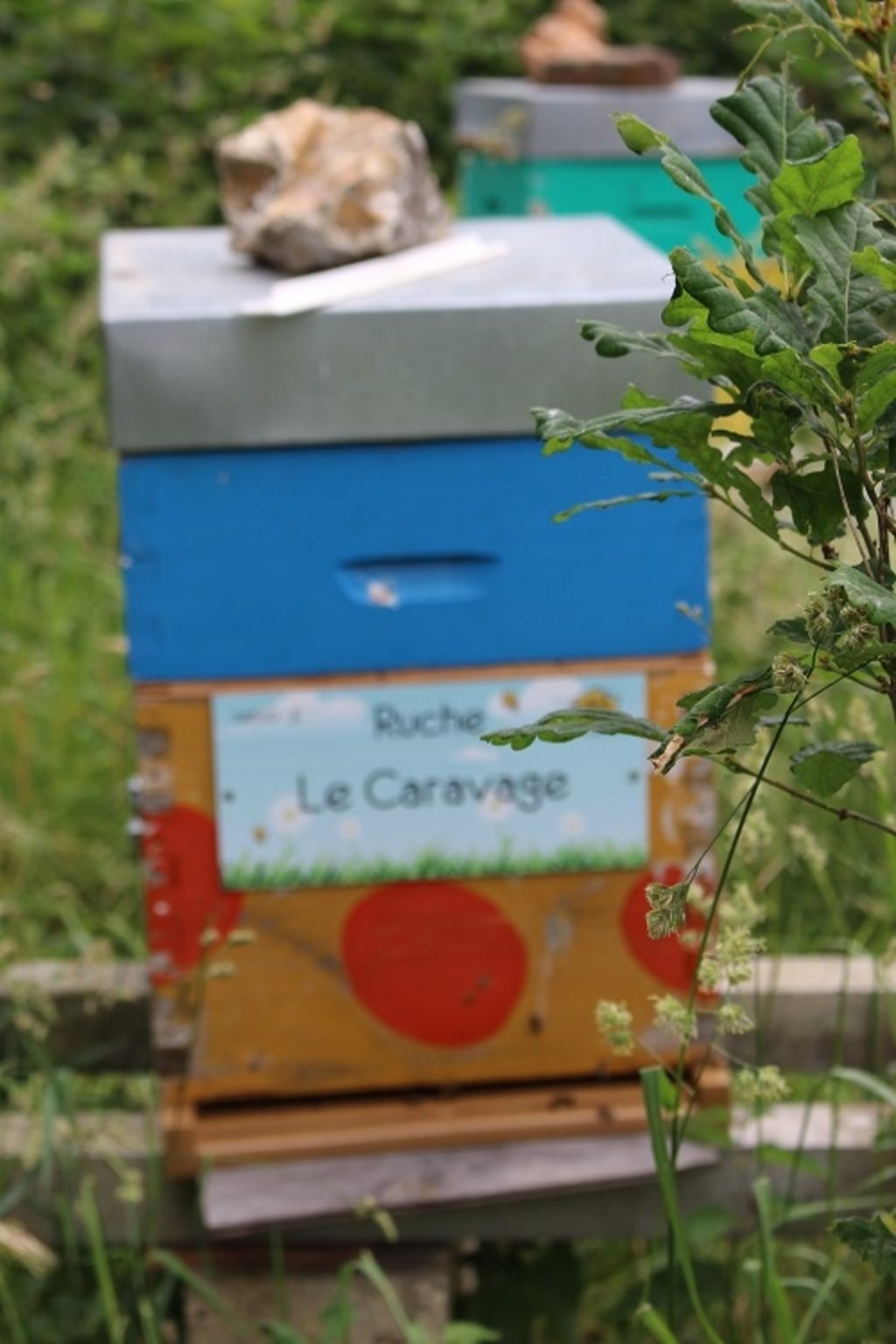 La ruche Le Caravage