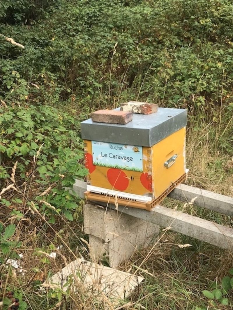 La ruche Le Caravage