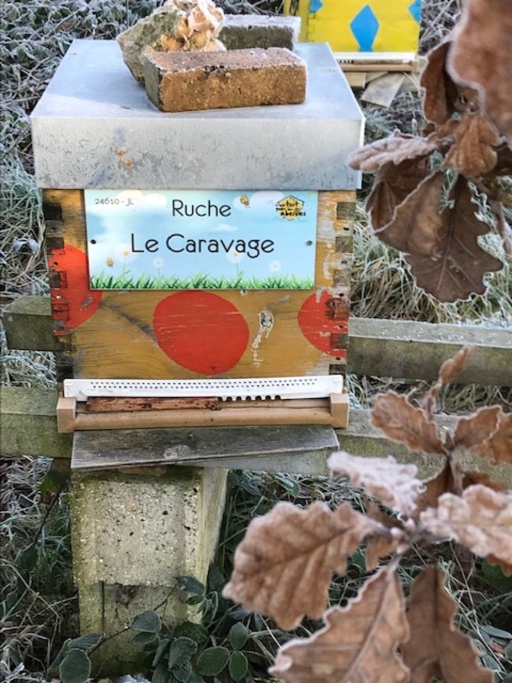 La ruche Le Caravage