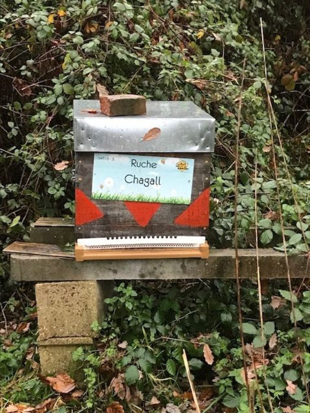 La ruche Chagall