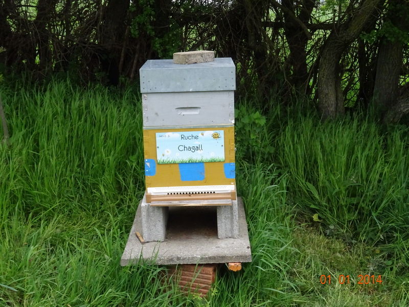 La ruche Chagall